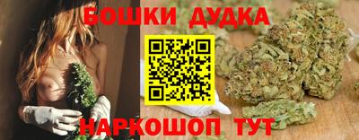 a pvp Ачхой-Мартан